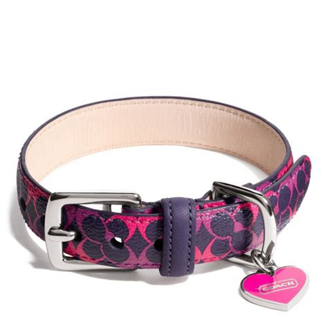 coach collar for dogs